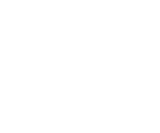 Grupo GDV
