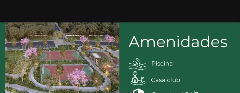 Captura de Zoom durante el webinar