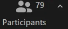 Contador de Zoom: 79 participantes
